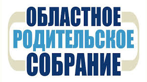 Областное родительское по вопросам профилактики детского дорожно-транспортного травматизма.